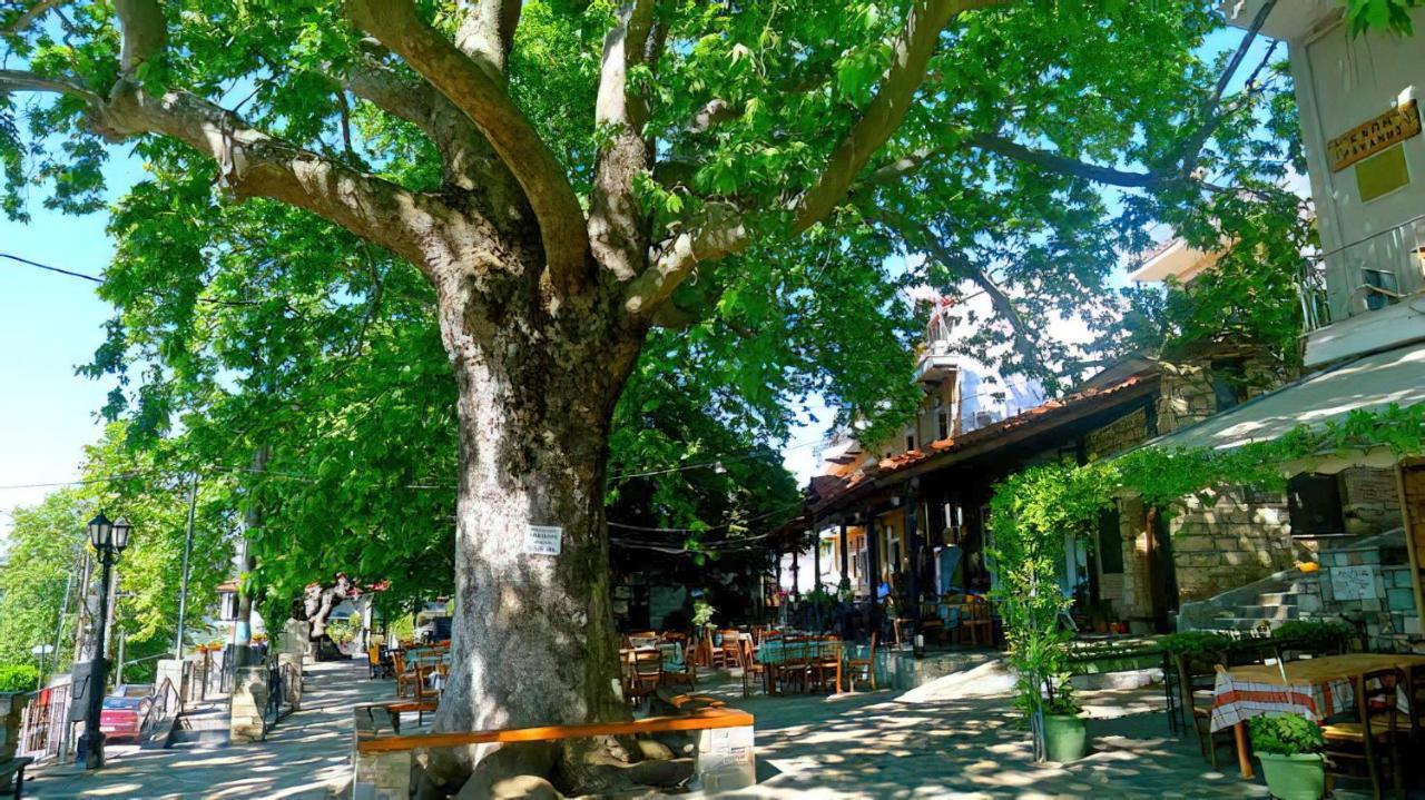 Rapsani Panorama Villa Eksteriør bilde