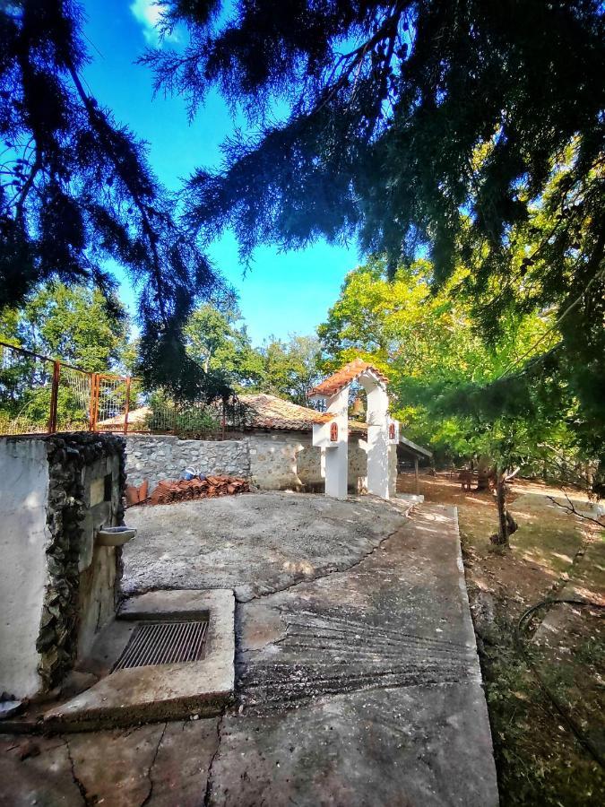Rapsani Panorama Villa Eksteriør bilde